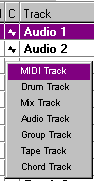 Sélectionnez Audio-Track.